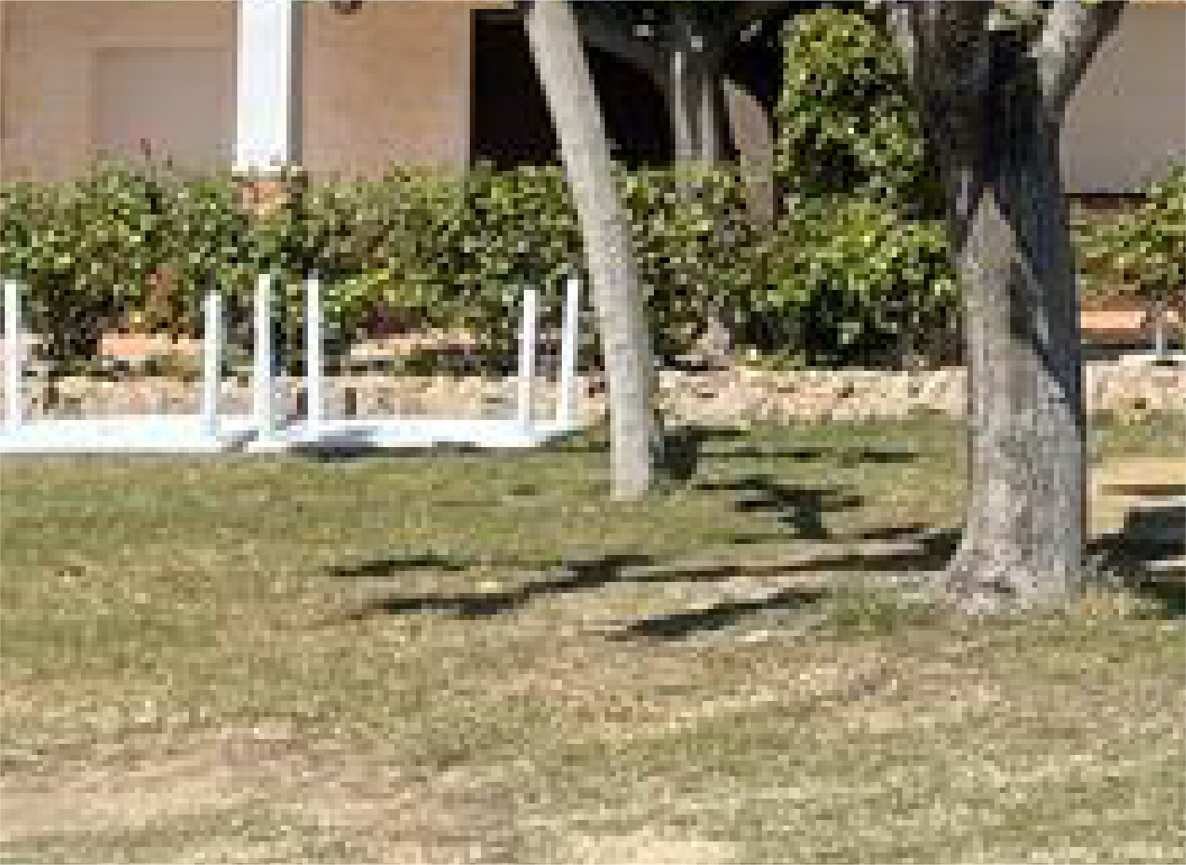 Can Ramón&nbsp;Apartamento 1 hab. 4P&nbsp;4P